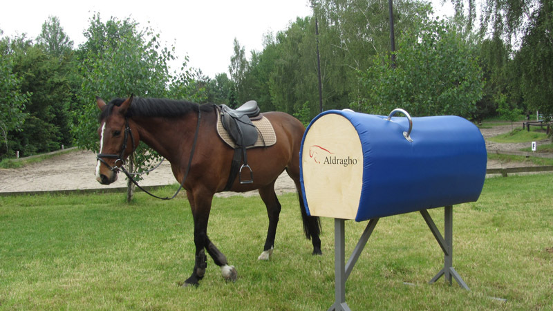 Sztuczny koń do woltyżerki  Voult horse